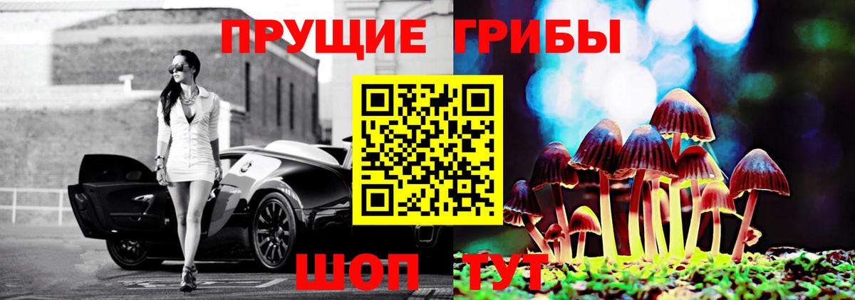 Россия  Галлюциногенные грибы Psilocybine cubensis  купить наркоту  Вход с VPN 