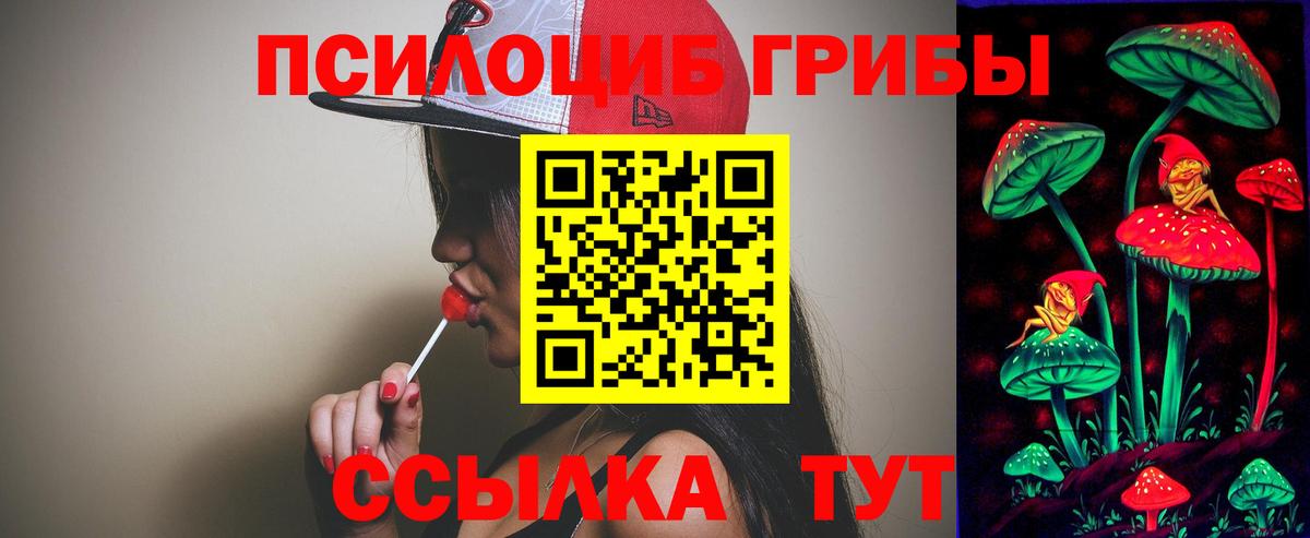 Псилоцибиновые грибы мухоморы Россия
